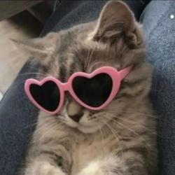 User Profile: cchey