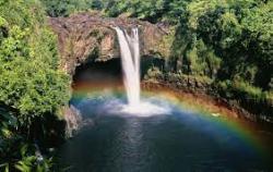 User Profile: AlohaFlowers11