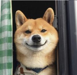 User Profile: Zivvvshoo