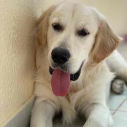 User Profile: Leo0411
