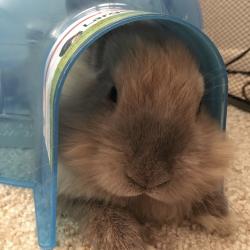 User Profile: winterellie