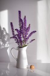 User Profile: calminglavendarr