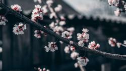 User Profile: Aahanawithu