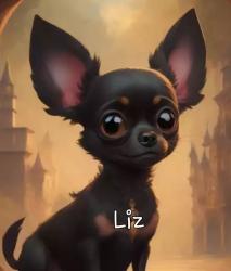 User Profile: MydogLiz8