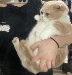 User Profile: BunnyBoo24