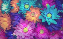 User Profile: SendingHugsToYou