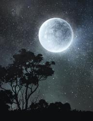 User Profile: VirtuousMoon