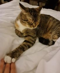 User Profile: Archangel4ever