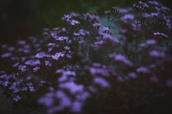 User Profile: matilda28