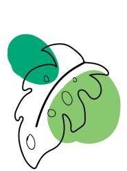 User Profile: Fromthoughtstowords