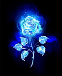 User Profile: GlowingBlueRose
