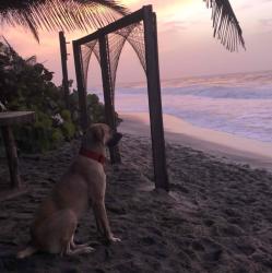 User Profile: Mokacita