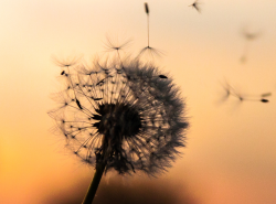 User Profile: positiveWind451