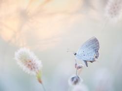 User Profile: amiableandempathetic