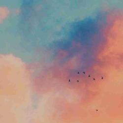 User Profile: MagnificentCloud803
