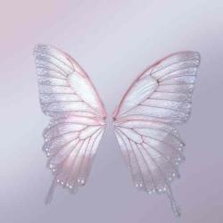 User Profile: incredibleRose785