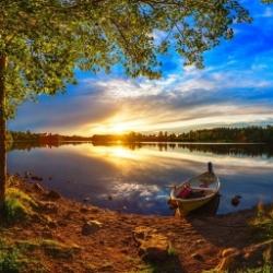 User Profile: sereneSummer482