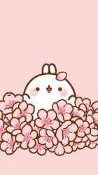 User Profile: Pip9007
