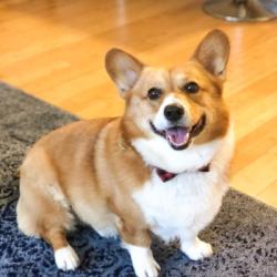 User Profile: KurisuMakise3