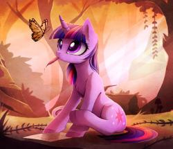 User Profile: softForest4843