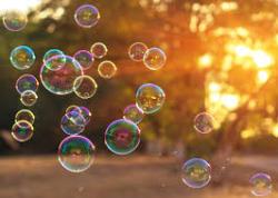 User Profile: gentleBubbles7154