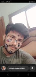 User Profile: hungrypanda7755