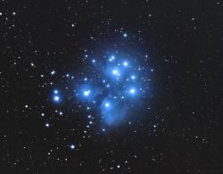 User Profile: Pleyades06