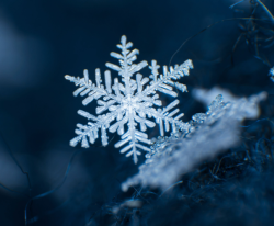 User Profile: brightFlake