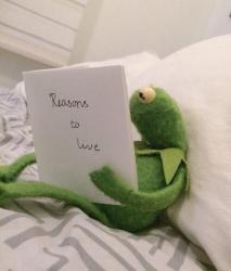 User Profile: ComfortKermit