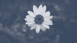 User Profile: En6624