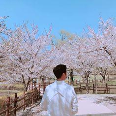 User Profile: waterlily1316