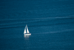 User Profile: ShipAtSea