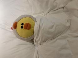 User Profile: CleoChu