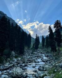 User Profile: LendAEar25