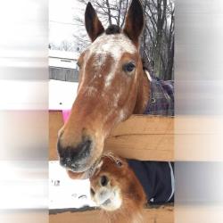 User Profile: Alyeska8463