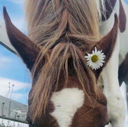 User Profile: UnstoppaBelle