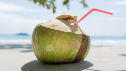 User Profile: fruityOcean218