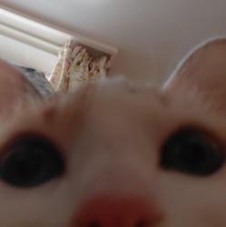 User Profile: Omurice1904