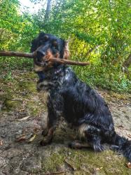 User Profile: Cleobuntra