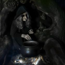 User Profile: OldLadyoftheWoods