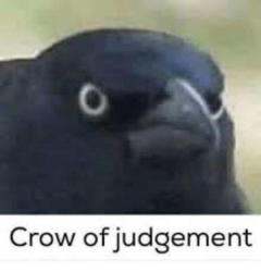 User Profile: 1Crow