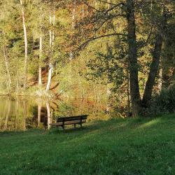 User Profile: dieReisende