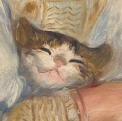 User Profile: Meowserati