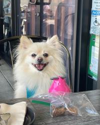 User Profile: Candy1223