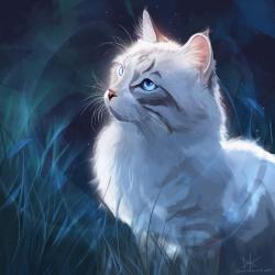 User Profile: tempestad