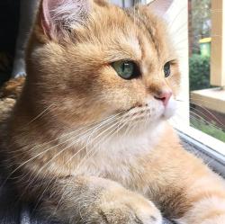 User Profile: amiableRainbow99