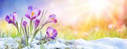User Profile: bloomnLove0766