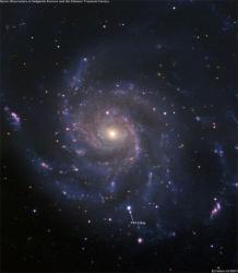 User Profile: Nova32