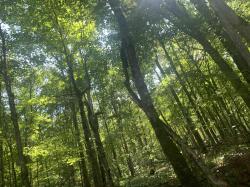 User Profile: Jordan505