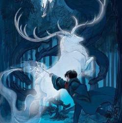 User Profile: Expectopatronum00